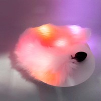 Nouveau 2024 Plug anal lumineux en métal et silicone, motif queue de chat ou de renard, pour femmes, meilleur plug anal en acier inoxydable avec lumière LED