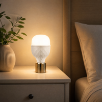 Ampoule LED T 20W 40W, support de lampe E27, driver DOB, 2400-12000K, AC85-350V, 70-130lm/W