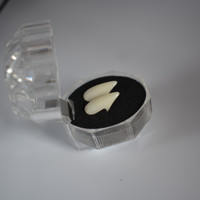 Échantillon gratuit : Accessoires de dentiers pour cosplay de fête d'Halloween – Dents de vampire, de zombie, de fantôme et de démon