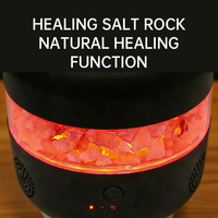 Lampe de sel de l'Himalaya de luxe, humidificateur et diffuseur d'arômes d'huiles essentielles pour chambre, bureau, spa, salle de yoga, cadeau