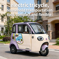 Petite voiture électrique à cabine fermée, 25-30 km/h, batterie au plomb-acide, tricycle électrique avec siège arrière pour le transport de passagers