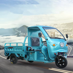 Mới 1000W hoàn toàn điện ba bánh mini hành khách ba bánh xe mở cơ thể loại 60V điện áp cho người lớn giá rẻ bán - Product Image 3