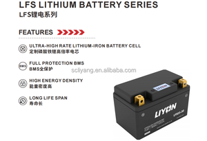 Batería de Motocicleta DENEL LFS03-60, Venta Directa de Fábrica, <span class=keywords><strong>Precio</strong></span> Competitivo, Alternativa a GYZ16H YTX14H-BS YTX14-BS Lifepo4 para 900CC - Product Image 6