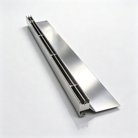 Grille de drainage linéaire en acier inoxydable durable et esthétique sur mesure pour applications de drainage au sol extérieur et d'aménagement paysager municipal