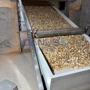 Séchoir à bande maillée pour tranches d'igname de haute qualité, ligne de production de découpe et de séchage d'igname, déshydrateur d'igname - Product Image 1