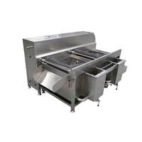 Dezoton Industriële Heteluchtbelletjeswasmachine voor Groenten en Fruit, voor Commerciële Voedselverwerking en Groothandel