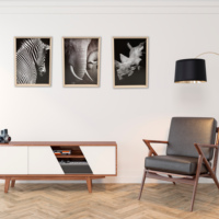 Affiche imprimée en toile pour décoration de maison, 3 pièces, protéger les animaux sauvages, Art mural