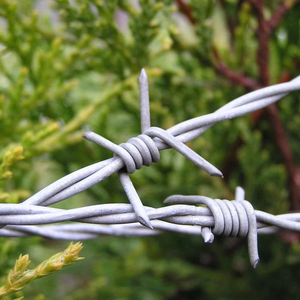 Nhà Máy Bán buôn giá rẻ giá thép mạ kẽm dây thép gai lưới cho sân bay hàng rào an ninh sắt concertina dây - Product Image 3