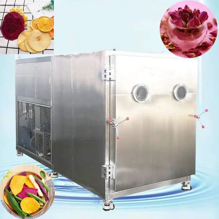 Vacuum food freeze dryer vacuum fruit dry machine