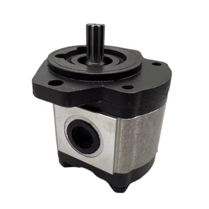 1802123 WP09A1B080R03BA150N WP09 WP03 WP300 WP15 WP12 Série Fuge Paver Gear Pompe à huile hydraulique - Product Image 1