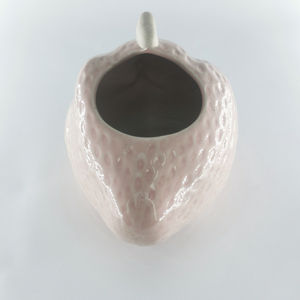 Pots de plantes succulentes et de <span class=keywords><strong>cactus</strong></span> en céramique en forme de fruits et d'animaux mignons Offre Spéciale - Product Image 3