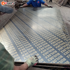 Pannello in compensato di eucalipto da 18 mm per edilizia, 4x8, filmato, per casseforme in calcestruzzo - Product Image 3