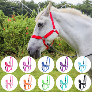 Harnais pour <span class=keywords><strong>cheval</strong></span> Glow Castle en nylon réfléchissant avec rembourrage respirant en Airmesh - Product Image 1
