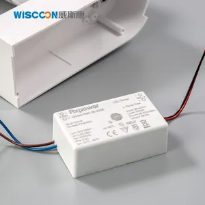 Wiscoon aydınlatma açısı 10-50 ayarlanabilir Zoom kontrol LED ray lambası COB 90Ra yüksek verimlilik ile alışveriş merkezleri için