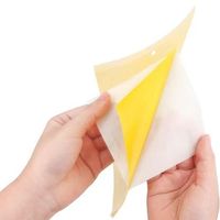 Pièges à mouches en gel jetables en gros, pièges collants jaunes pour insectes, capacité de 250-750 ml, 480 heures d'utilisation pour pelouse et jardin