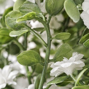 Ghirlanda Artificiale di Eucalipto e Camelia, Decorazione Floreale Pendente per Pareti, Balconi e Matrimoni, Vendita all'Ingrosso - Product Image 2