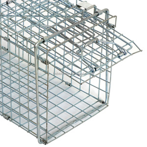 Petit piège à <span class=keywords><strong>cage</strong></span> pour animaux en métal pliable Humane <span class=keywords><strong>Live</strong></span> Rabbit Squirrel Opossum Squire Raccoon Catch Release Design pliable - Product Image 4