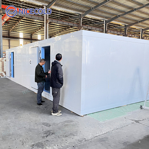 Phòng lạnh bảo quản thực phẩm đặt làm riêng, tủ đông đi bộ dành cho cửa hàng tạp hóa, nhà máy chế biến thịt và kho chứa nông sản tươi sống - Product Image 3