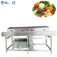 Hoogwaardige reinigingsmachine voor groenten en fruit, aardappelen, wortelen en cassave