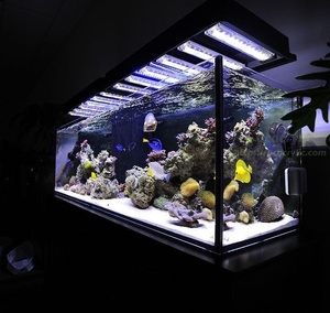魚タンク農場養殖大型特大 - Product Image 1