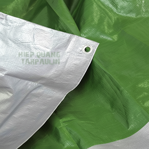 Spécification résistante à l'eau de style uni de bâche GREEN/ARGENT super robuste - Product Image 1