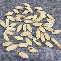 Tranches séchées de racine d'Astragale (Huang Qi) de qualité supérieure, thé aux herbes, 1 kg/paquet