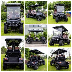 En kaliteli Off-road 2, 4, 6 kişilik Golf arabası/buggy satılık lityum pil gücü Ce sertifikası ile 3500w - Product Image 5