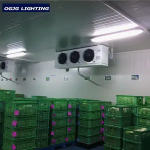 슈퍼마켓 저온 저장 공간 덮개 IP65 는 형광성 전등 설비 T5 T8 2x28W 세 배 증거 LED 관 램프를 방수 처리합니다