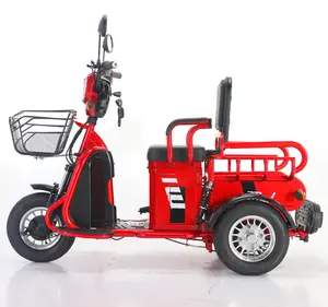 Fabrika toptan 500W 3 üç tekerlekli bisiklet elektrikli bisiklet ab üç tekerlekli elektrikli testere ile üç tekerlekli bisiklet arka aks motorlu Scooter