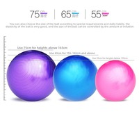 Ballon de fitness/yoga en PVC de 65 cm pour femmes enceintes et entraînement des enfants & exercices d'équilibre