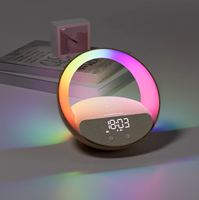 Home Theater Sound Bookshelf Oplaadbaar voor luidspreker met draadloze oplaadpad RGB LED-licht wekker
