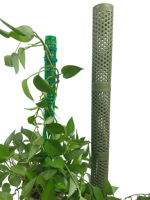Poteaux en plastique durables pour plantes, petit poteau en mousse pour plantes d'intérieur sphaigne, plante grimpante, plantes d'argent