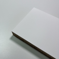1220*2800mm RENOLIT PST Tecnología Tableros de partículas Premier Matt Series Paneles para diseño de interiores