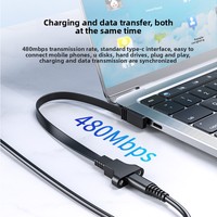 Câble d'extension Type-C USB 3.1 mâle vers femelle 10 Gbps avec trous de fixation pour données et charge sécurisées, câble en silicone