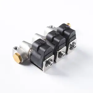 Common-Rail-Diesel einspritz ventil mit 3-Zylinder-LPG-CNG-Motor