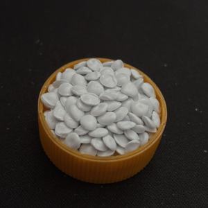 Granulés PPO oxyde de polyphénylène résine PPO 731 avec prix d'usine - Product Image 4