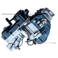 GY6 Jinlang 165QML Ausgleichswellen-Kettenantrieb Eingebautes Rückwärtsganggetriebe Luft- und Ölkühlung 230ccm Motor mit Vibrationsdämpfung