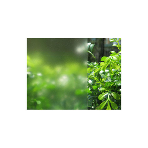 Frosted Pvc Raamfolie Zelfklevend, Privacy Decoratief Doorschijnend Wit Voor Thuiskantoorglas En Meubelgroothandel - Product Image 4