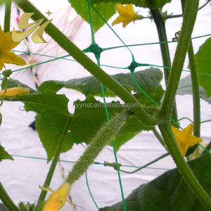 도매 3/4/5/6 피트 폭 대마 오이 콩 성장 그물 식물을위한 지원 그물 - Product Image 3