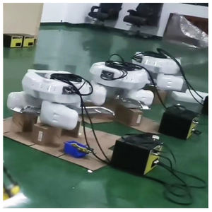 Robot intelligent Pick and Place Delta Robot pour le tri des emballages Robot parallèle Ligne d'emballage automatique - Product Image 4