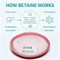 98% HS Betaine Hydrochloride Grade Pakan Ternak untuk Sapi Ruminansia, Pendukung Laktasi, Penggemukan, Pereda Stres Panas, Vitamin Hati