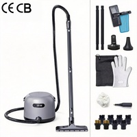 Nettoyeur Vapeur Portable CE à Chauffage Instantané Haute Température pour Nettoyage Profond Multi-Surfaces, Humide et Sec, pour Tapis et Tissus d'Ameublement Domestiques