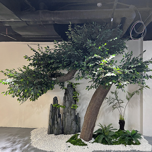 Interior paisaje Artificial árbol verde Radermachera <span class=keywords><strong>Sinica</strong></span> árbol felicidad árbol Decoración - Product Image 6