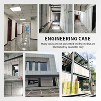 Panel Sandwich Semen EPS 100mm Tahan Api Ramah Lingkungan Modern Papan Dinding Siap Pakai untuk Rumah Prefabrikasi Industri Hotel