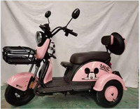 Mini tricycle électrique à trois roues pour passagers, vélo cargo, batterie amovible, tricycles pour adultes, scooter électrique à trois roues