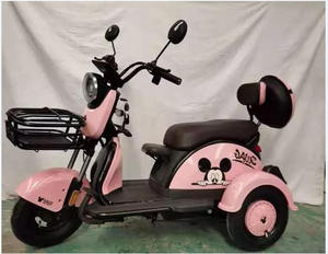 Mini tricycle <span class=keywords><strong>électrique</strong></span> à trois roues pour passagers, vélo cargo, batterie amovible, tricycles pour adultes, scooter <span class=keywords><strong>électrique</strong></span> à trois roues - Product Image 4