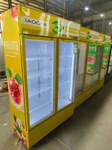 Двухдверный холодильник Pepsi для коммерческого использования, витринный, с прямым охлаждением, холодильное оборудование - Product Image 2