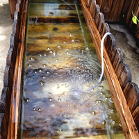 Aérateur d'oxygénateur à énergie solaire silencieux avec tuyaux d'air et pierres à bulles pour aquarium d'étang de réservoir de poissons