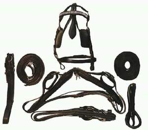 Arnés de Cuero Personalizado de la Mejor Calidad con Hebillas de Acero Inoxidable para Caballos de Trabajo y Montar, Disponible para la Venta - Product Image 1