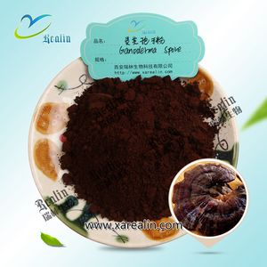 Продукты для ухода за здоровьем, порошковые поры из сломанной глянцевой оболочки ганодермы - Product Image 1